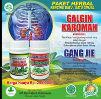banner obat batu gnjal